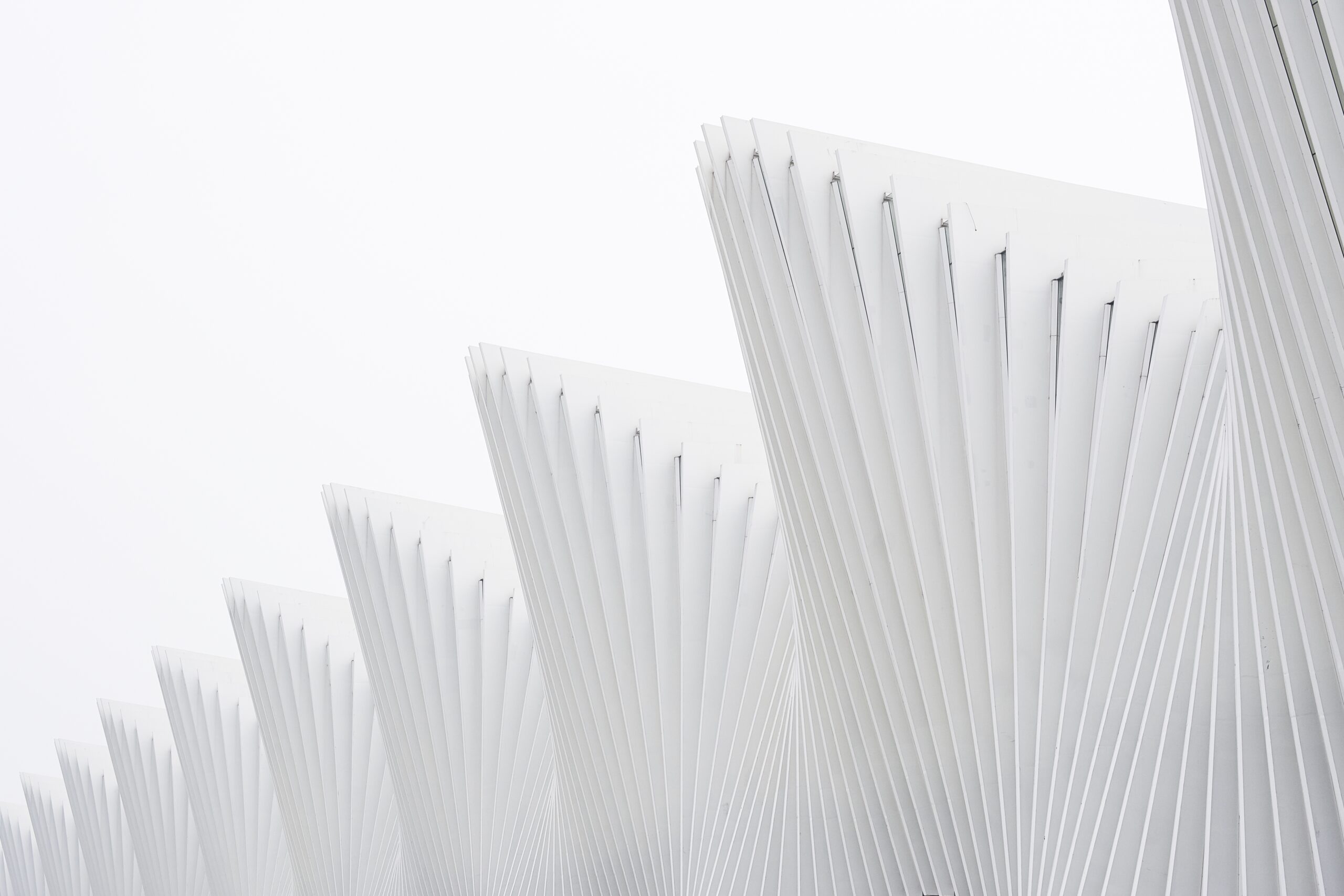 horizontal shot abstract buildings with white metallic ribs and glass windows